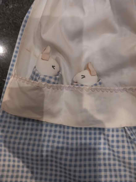 Photo of free Fabulous Rabbit PJ/Nightie Holder (Leatherhead KT22) #2
