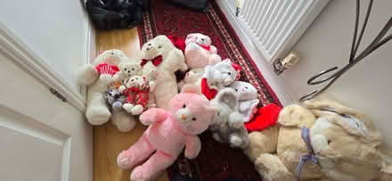 Photo of free Easter large bunny Rabbits and soft teddy's (Barkingside IG6) #2