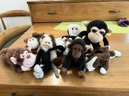 Photo of free Stuffed animals (Upper West Side) #2