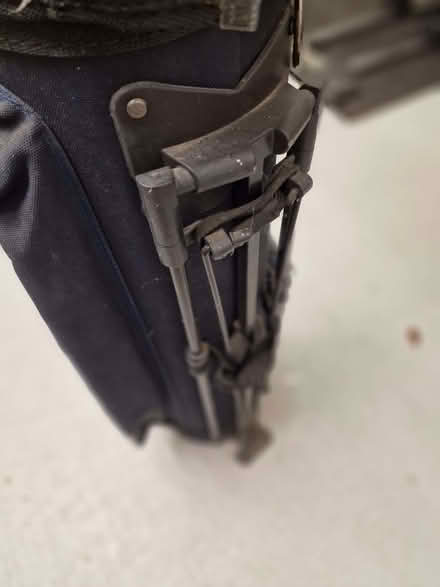 Photo of free Ladies golf clubs and bag (Enborne Row RG14) #1