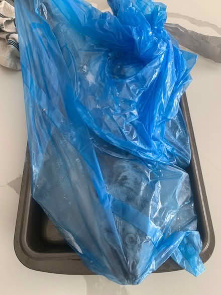 Photo of free Frozen Salmon (Victoria Hills) #1