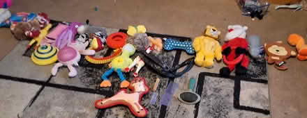 Photo of free Dog toys, brush/combs (Horley RH6) #1