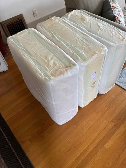 Photo of free High quality foam cushions (Tangletown) #1