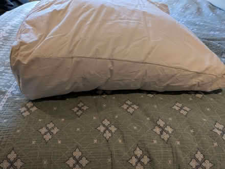 Photo of free Large, soft wedge pillow with cover. (Sharmans Cross B91) #1