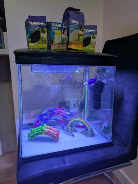 Photo of free Aquarium 25lt(?) (South Croydon) #1