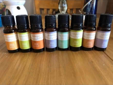 Photo of free Massage Oils x 8 (Cheshunt En8) #1