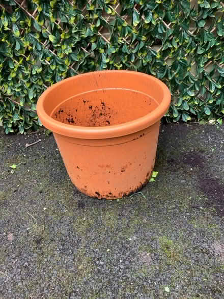 Photo of free Garden plant pot (Brighton BN1) #1