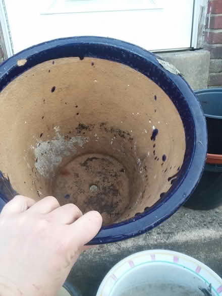 Photo of free Large ceramic plant pots (Sharon hill, PA) #2