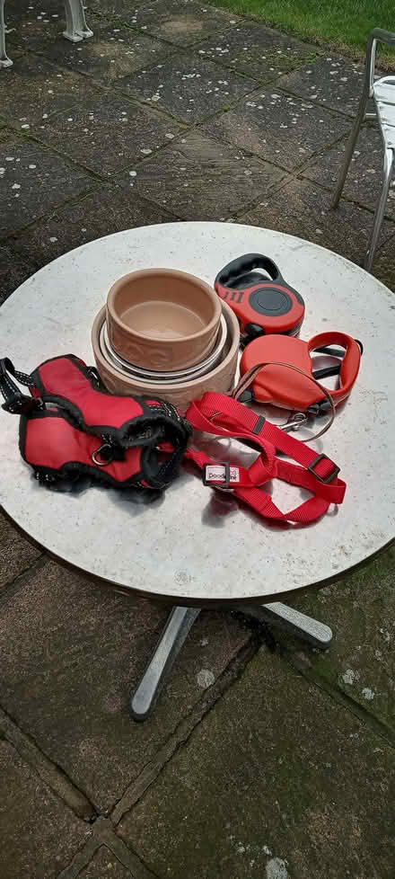 Photo of free Dog harness and leads (Sprowston NR7) #1