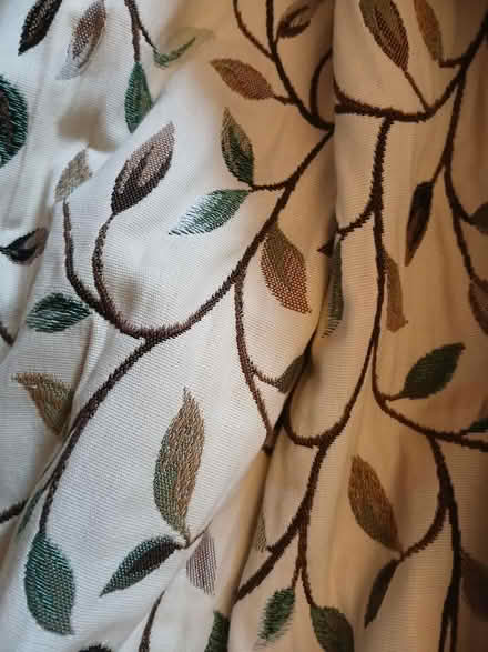 Photo of free Curtains (Newhaven EH6) #2