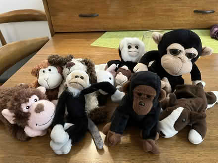 Photo of free Stuffed animals (Upper West Side) #1