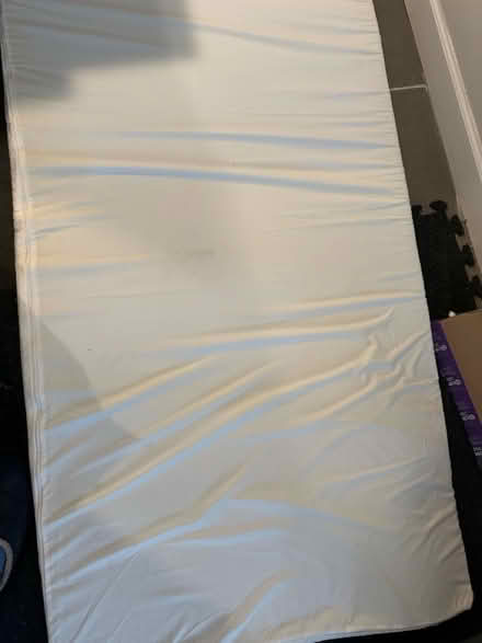 Photo of free Single bed mattress pad (Bloomingdale) #1