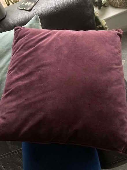 Photo of free 18"46cm purple velvet cushion (Lewes BN7) #1