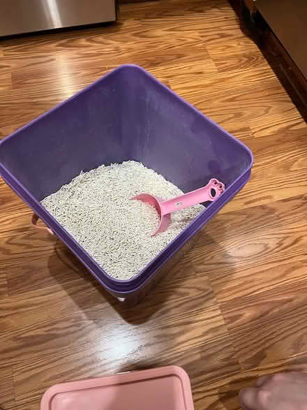 Photo of free Tofu cat litter (Cary, near Apex lake) #2