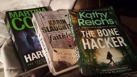 Photo of free 3 crime novels (New Greens AL3) #1