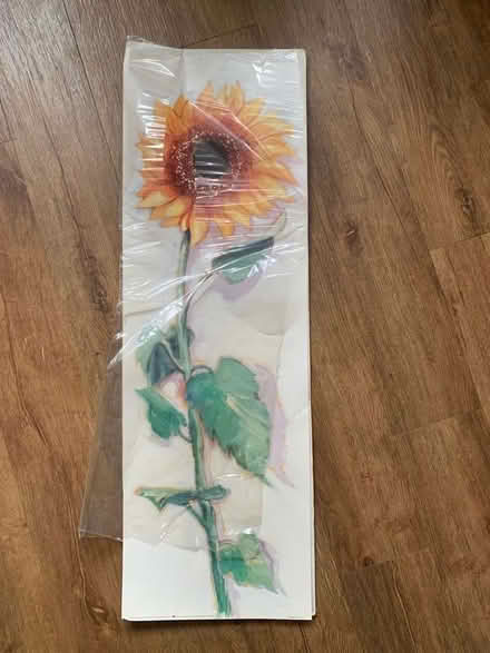 Photo of free Sunflower poster (Malvern WR14) #1