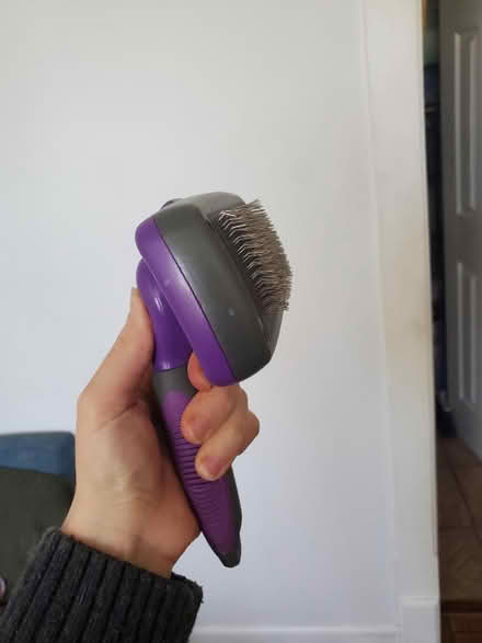 Photo of free Retractable Pet Brush (Bayonne, NJ) #2