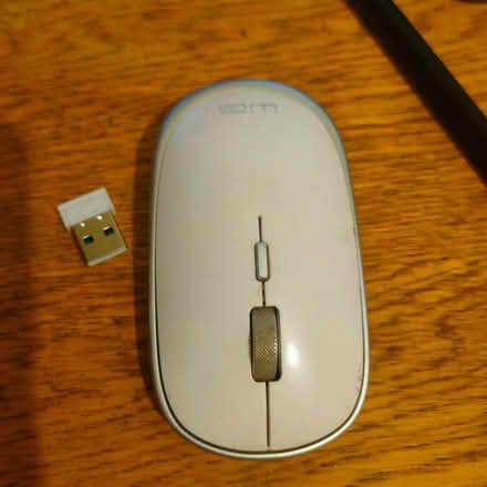 Photo of free Computer mouse (Newbury park station) #1