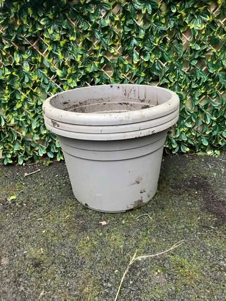 Photo of free Garden plant pots (Brighton BN1) #1