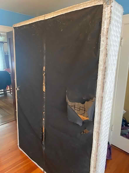 Photo of free Bed frame and box spring (South Berkeley, CA) #2