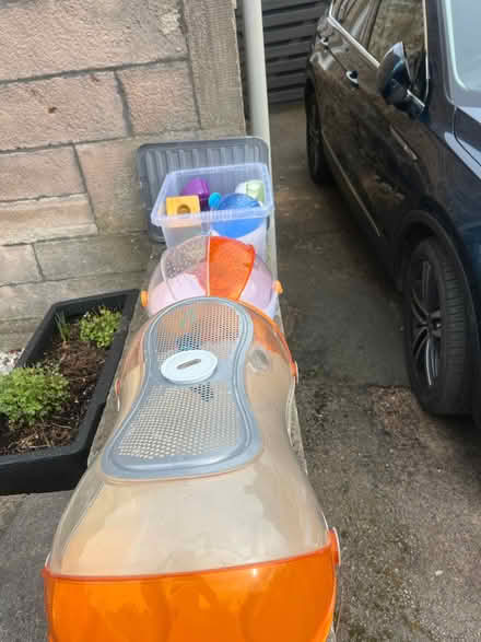 Photo of free Hamster cage and accessories (Elgin IV30) #1