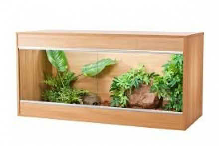 Photo of 4ft Vivarium (Woodhey CH42) #1