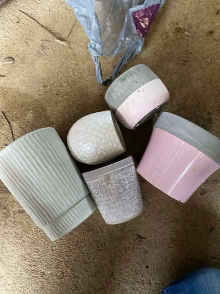 Photo of free Selection of flower / plant pots (Southdown AL5) #1