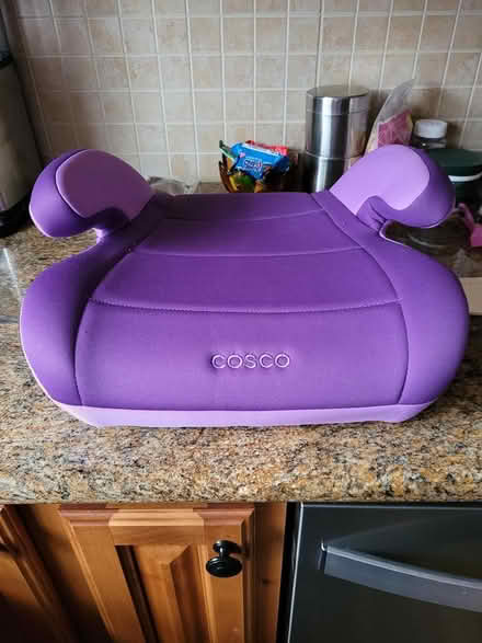 Photo of free Booster seat (King City) #1