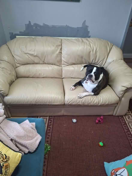 Photo of free Cream leather sofa (Seaside BN22) #2