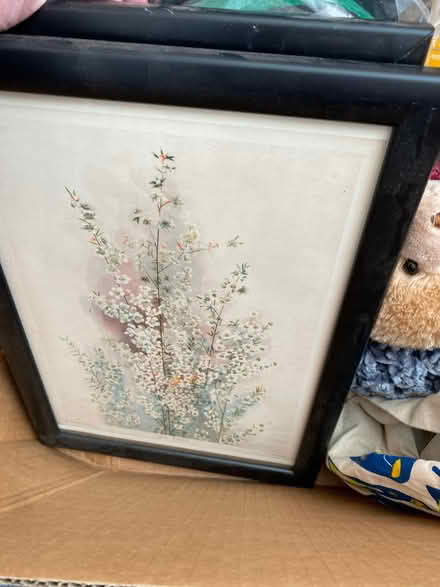 Photo of free Allsorts (Kedleston Road DE1) #2
