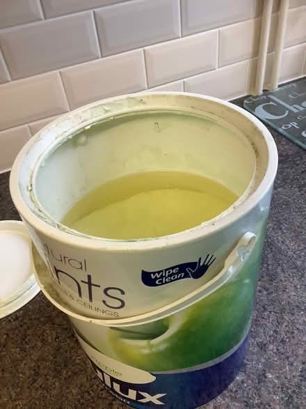 Photo of free Dulux Apple White Matt paint (The Plantation GL5) #2