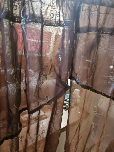 Photo of free Sheer drapes 2 panels (Fairfield) #3