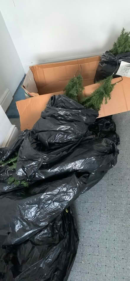 Photo of free 7ft Christmas Tree. Boxed (Droylsden M43 7EA) #2