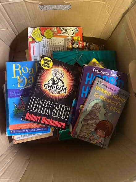 Photo of free Children's books (windsor-maidenhead-freegle CGA SL6) #1