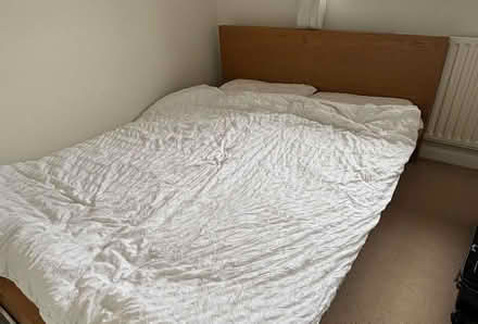 Photo of free Double Bed (Potton SG19) #1