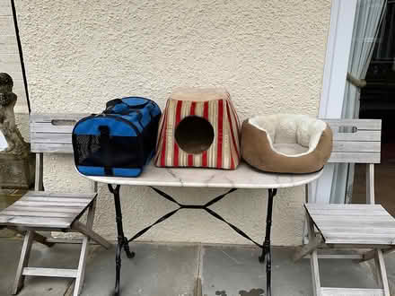 Photo of free Cat beds & travel holder (Halstead) #1