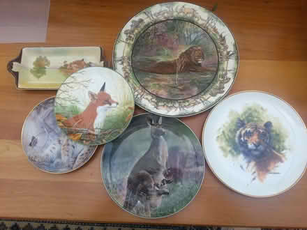 Photo of free Collectors Plates (Bawdrip TA7) #1