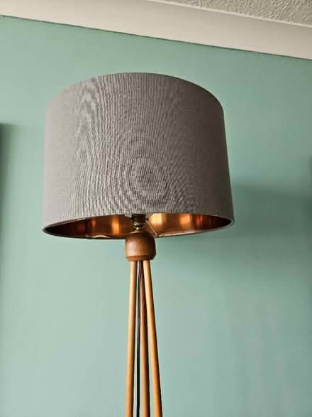 Photo of free Lampshade for Standard Lamp (Bexhill TN39) #3