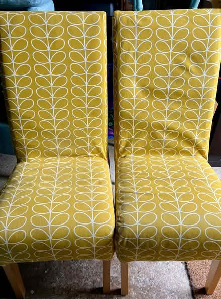 Photo of free Dining chairs x4 (Woodlands Park MK41) #1