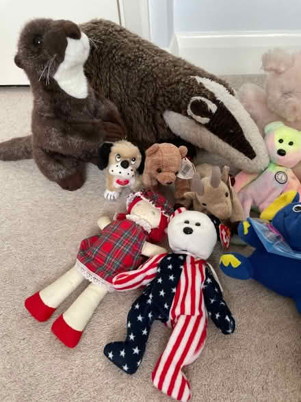 Photo of free Soft toys incl beanie babies (Tonbridge TN10) #2