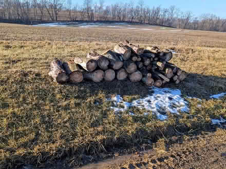 Photo of free Campfire wood (Off SR39 (by ODOT outpost)) #1