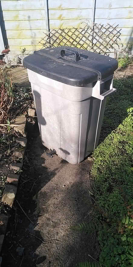 Photo of free wormery/compost bin (New Street, Ludlow) #1