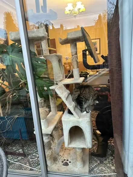 Photo of free Cat tree (Wadsley S6) #2