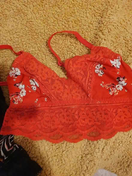 Photo of free Ladies size 8 bras. 15 in total (Allington ME16) #4