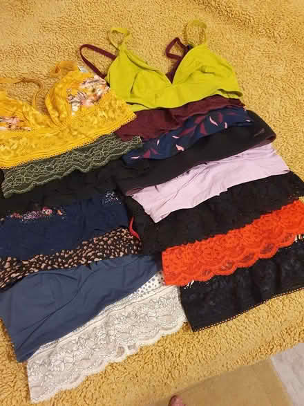 Photo of free Ladies size 8 bras. 15 in total (Allington ME16) #1