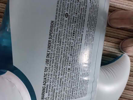 Photo of free Large Inflatable Dolphin (California DE22) #4