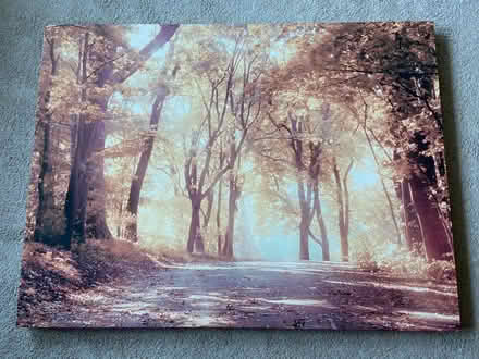 Photo of free Printed woodland scene on canvas (Bussage GL6) #1