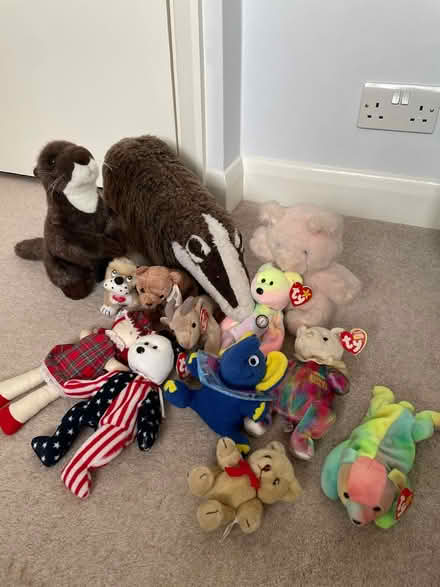 Photo of free Soft toys incl beanie babies (Tonbridge TN10) #1