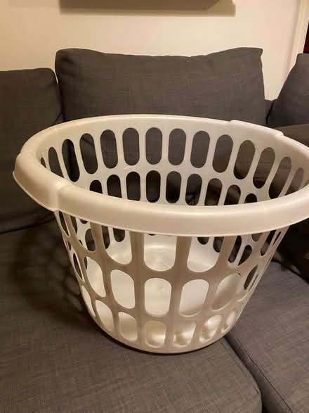 Photo of free Plastic washing basket (Hockley Port B18) #1