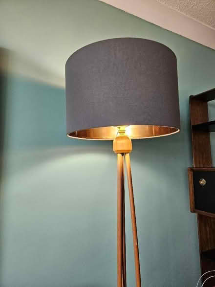 Photo of free Lampshade for Standard Lamp (Bexhill TN39) #1